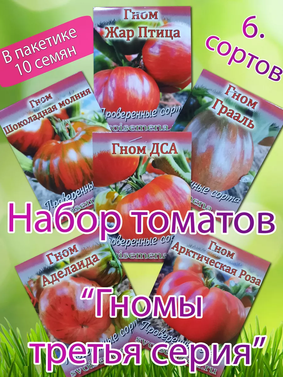 Томаты Гномы Сорта Фото Отзывы