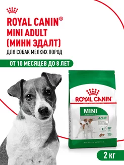 Сухой корм для миниатюрных собак от 10 месяцев,2 кг ROYAL CANIN 177063355 купить за 1 516 ₽ в интернет-магазине Wildberries