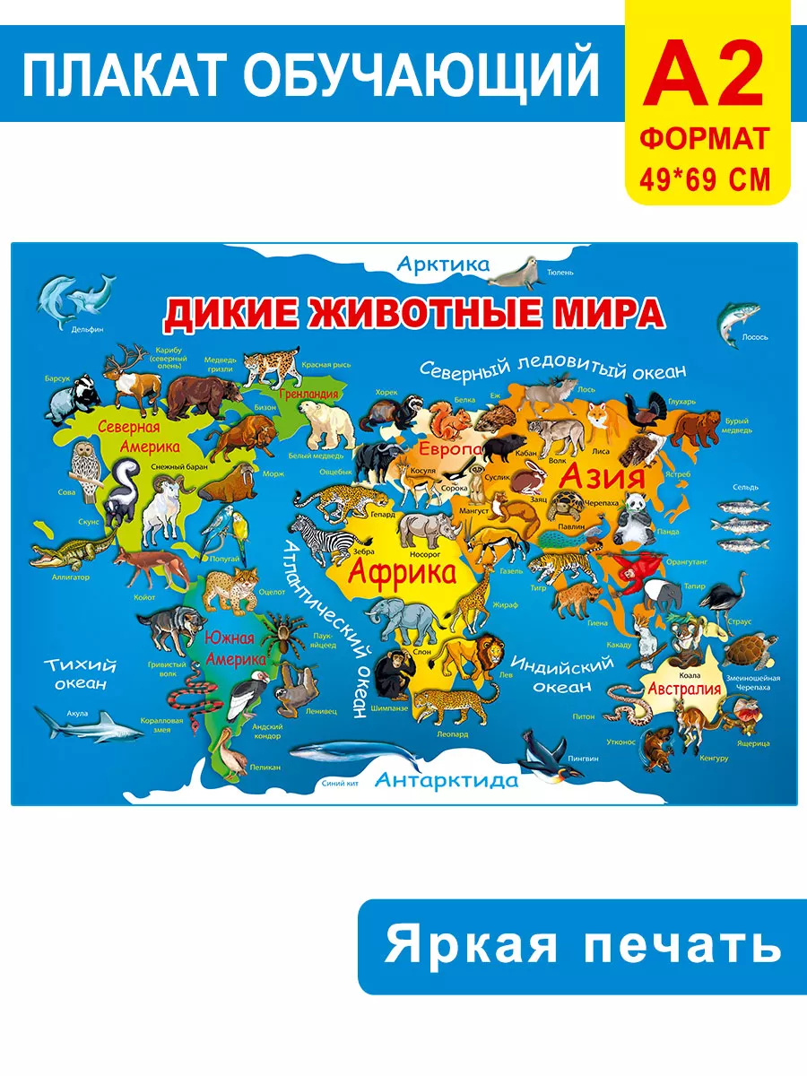 Плакат Дикие животные мира на стену для школы детям А2