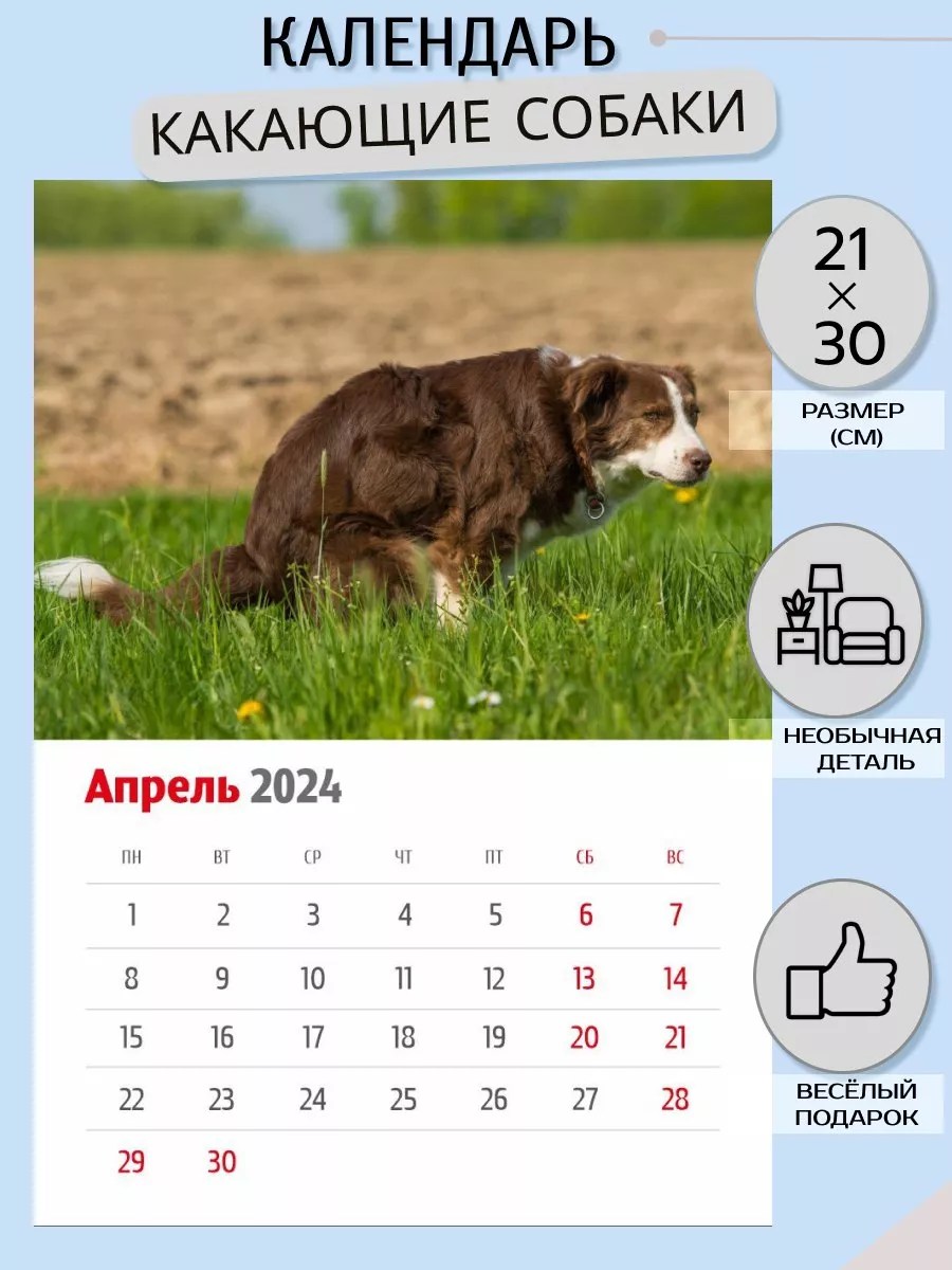 Bykovahome Прикольный настенный календарь 2024 год Какающие собаки