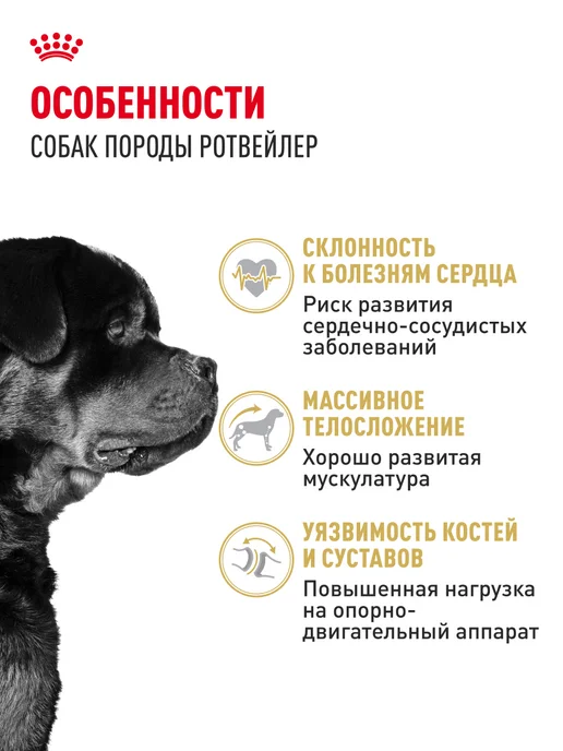 Сухой корм Royal canin Ротвейлер для собак, взрослые, 12 кг, фото 2