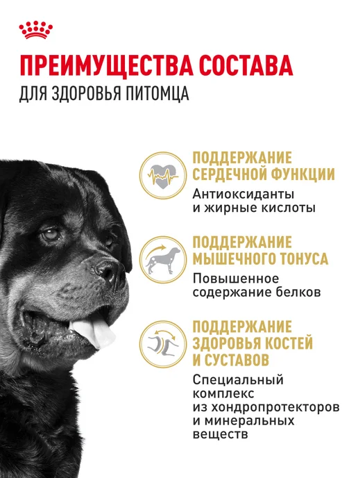 Сухой корм Royal canin Ротвейлер для собак, взрослые, 12 кг, фото 3