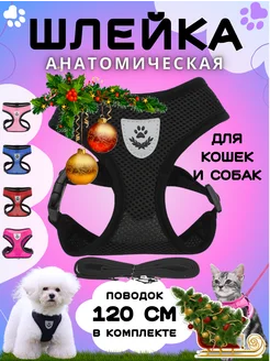 Шлейка для собак и кошек анатомическая с поводком Handy items 177145341 купить за 222 ₽ в интернет-магазине Wildberries