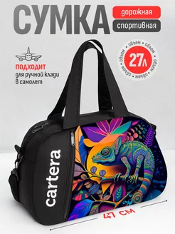 Сумка дорожная ручная кладь Cartera 177153009 купить за 1 479 ₽ в интернет-магазине Wildberries