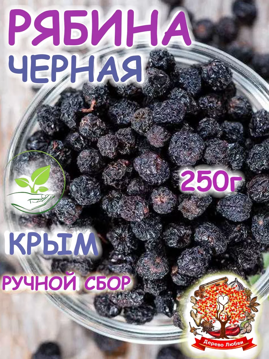 Рябина черноплодная