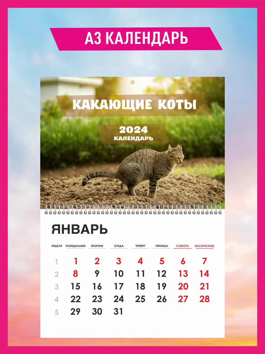 Прикольный календарь Какающие коты 2024 год КОМБО 177306840 купить за 344 ₽  в интернет-магазине Wildberries