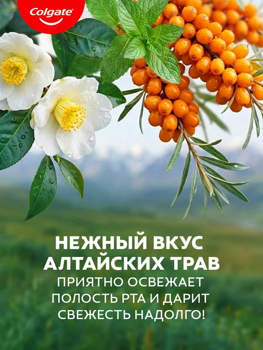 Colgate Ополаскиватель для полости рта 500мл 3шт, 500 мл, 3 шт, фото 3