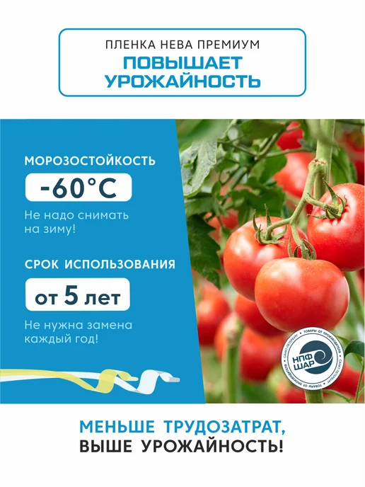 НЕВА Пленка для теплиц и парников ПРЕМИУМ 4х8 м, 150 мкм, 4x8 м, 8 м, фото 2