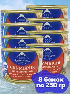 Скумбрия в томатном соусе 8* 250 гр Северпродукт 177327286 купить за 494 ₽ в интернет-магазине Wildberries