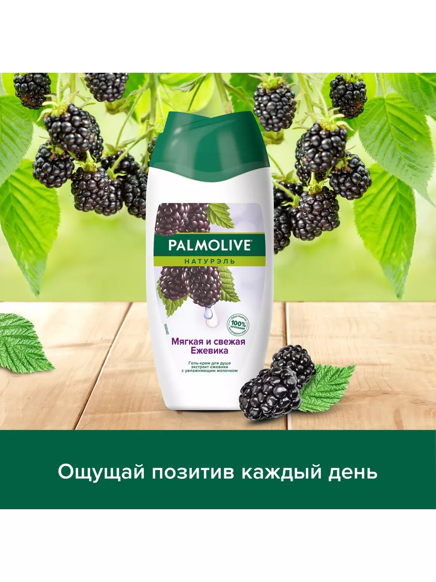 Гель для душа NATURALS Мягкая и Свежая Ежевика 250мл 2шт PALMOLIVE  177352253 купить за 437 ₽ в интернет-магазине Wildberries