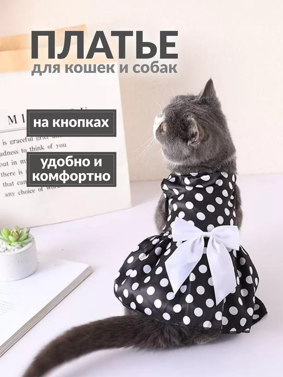 Top 10 одежда для котов ideas and inspiration