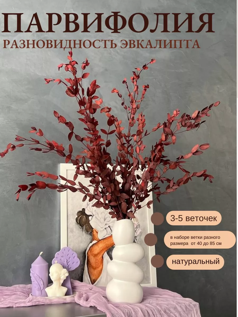 Парвифолия стабилизированная красно-коричневая сухоцвет Всяко-разно  177717453 купить в интернет-магазине Wildberries