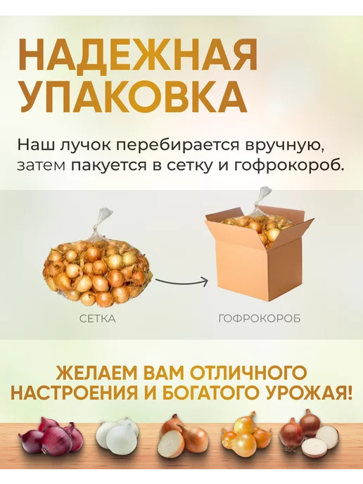 урожай на все 100 Лук севок для посадки Черный принц 0.5 кг, 500 г, фото 2