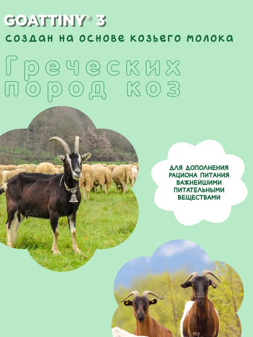 GOATTINY Смесь на козьем молоке с 12 месяцев, 1200 г, 1,2 кг, фото 3