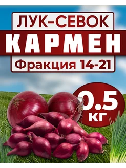 Лук севок для посадки Кармен 0.5кг Лук-Севок 177783522 купить за 361 ₽ в интернет-магазине Wildberries