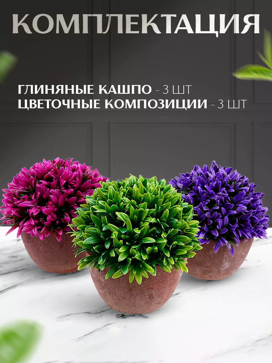 Цветочные композиции из комнатных растений (37 фото)