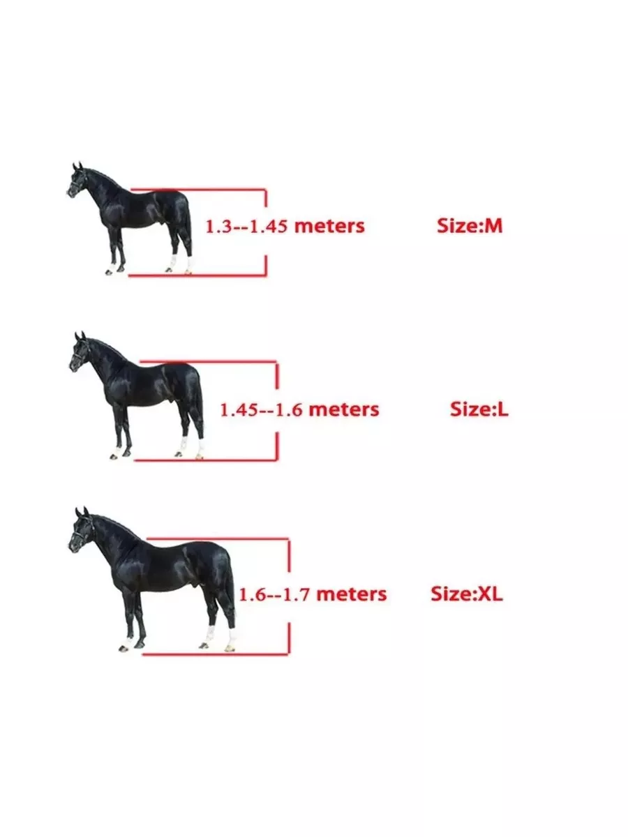 Ногавки для лошади передние черные, размер M. 2 шт BigAl 177824663 купить  за 2 135 ₽ в интернет-магазине Wildberries