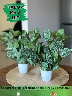 Искусственные цветы в горшке фиттония в кашпо для декора GreenHol 177825977 купить за 565 ₽ в интернет-магазине Wildberries
