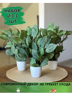 Искусственные цветы в горшке фиттония в кашпо для декора GreenHol 177825978 купить за 751 ₽ в интернет-магазине Wildberries