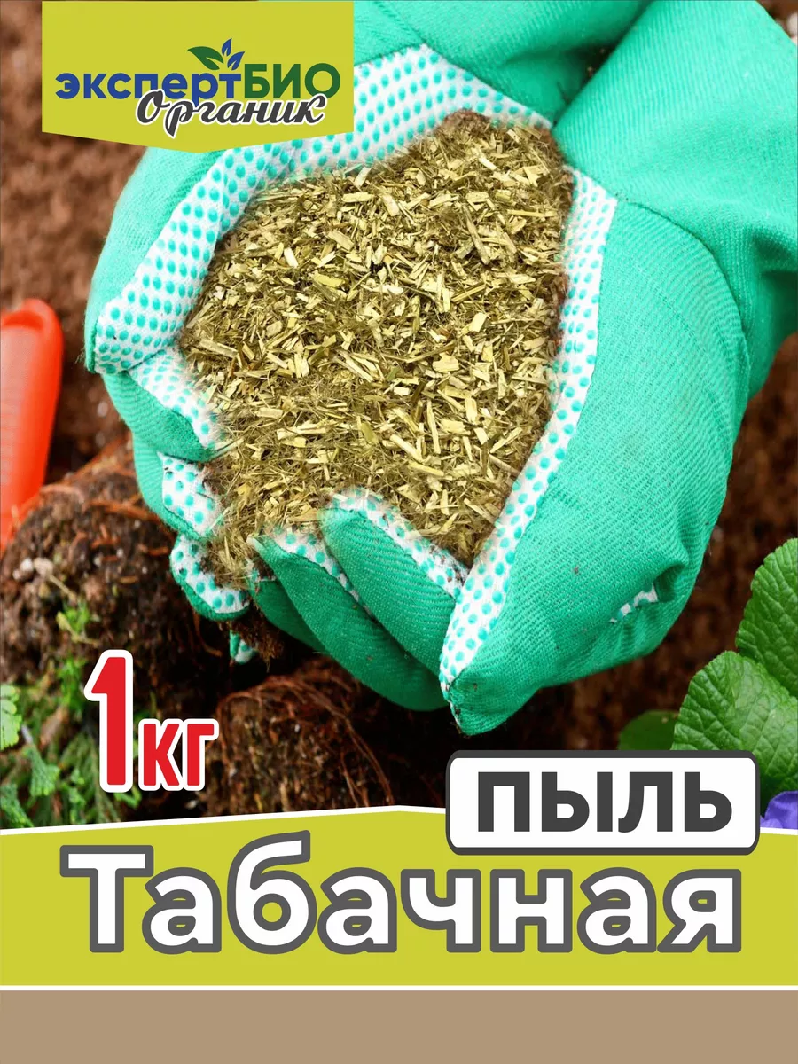 Табачная пыль в саду. Табачная пыль в саду