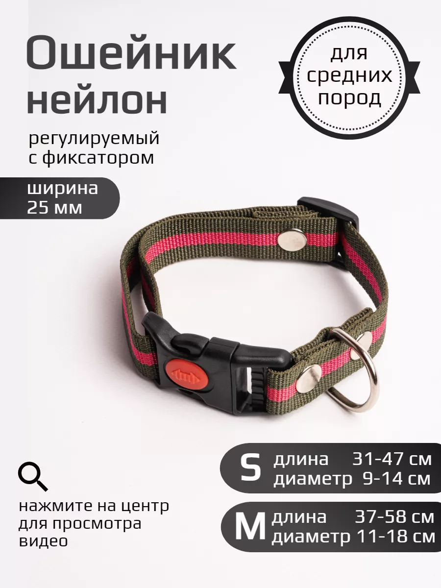 Ошейник для собак нейлон 25 мм (зелено-красный)