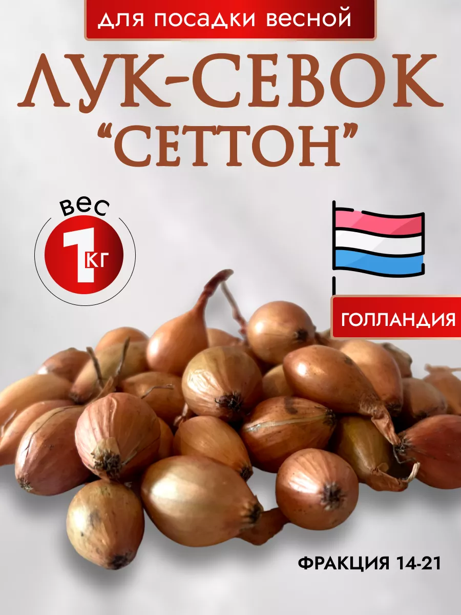 Лук севок на посадку весной Сеттон 1 кг Ms. Lukovichko 177865866 купить в  интернет-магазине Wildberries