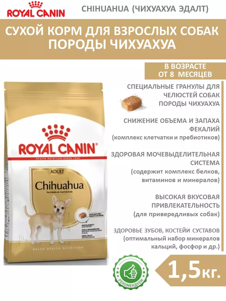 Chihuahua adult best sale royal canin