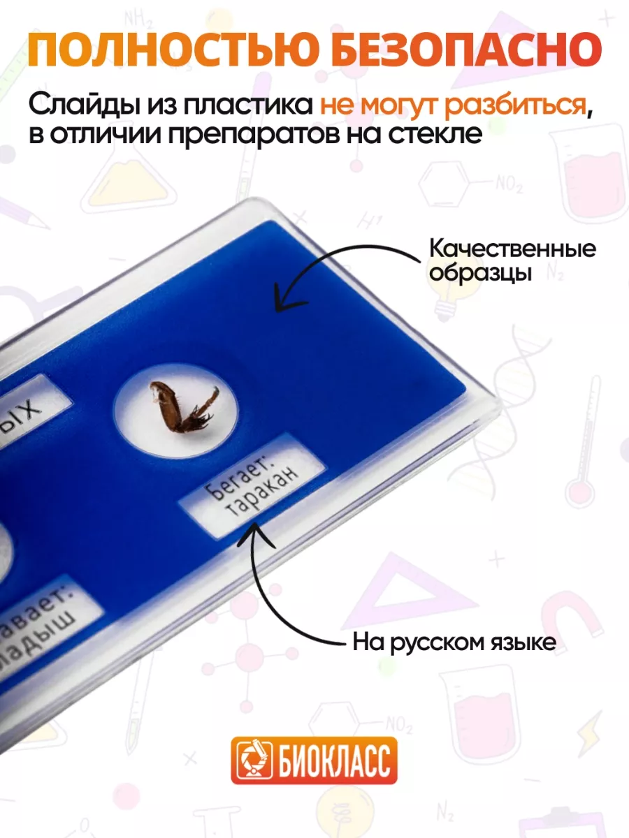 БИОКЛАСС Препараты Для Микроскопа Набор 36