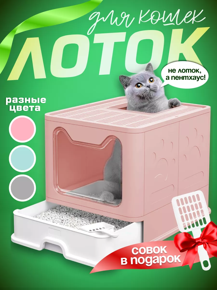 Кот гадит мимо лотка по-большому