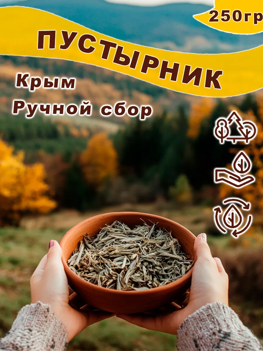 Пустырник сушеный