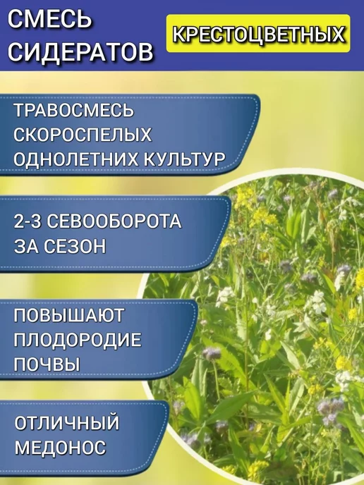 АГРОУСПЕХ Смесь сидератов 3 кг на 12 соток, 3 кг, фото 2