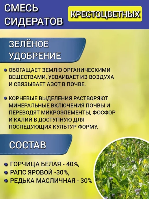 АГРОУСПЕХ Смесь сидератов 3 кг на 12 соток, 3 кг, фото 3