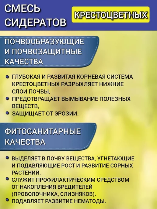 АГРОУСПЕХ Смесь сидератов 3 кг на 12 соток, 3 кг, фото 4