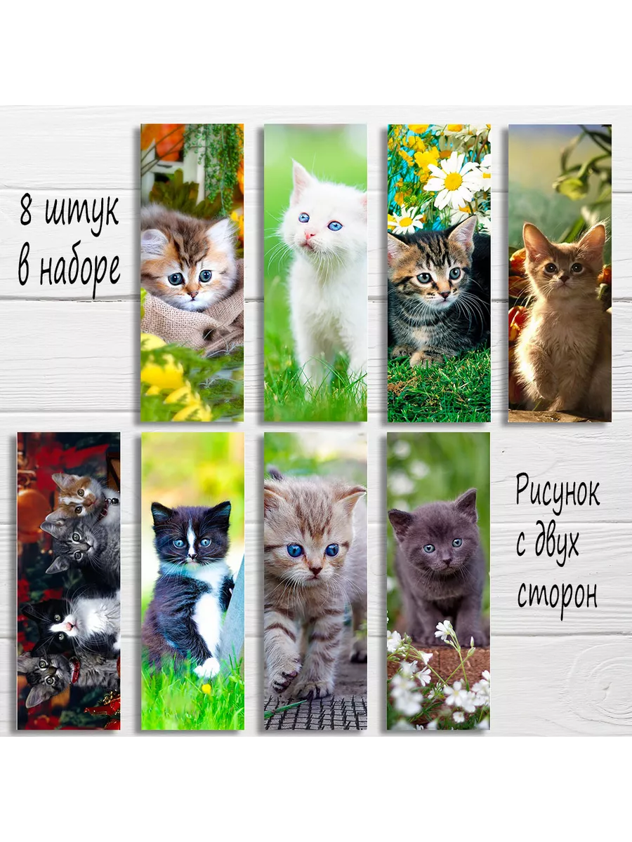 Закладка для книг котики, котята, набор из 8 штук