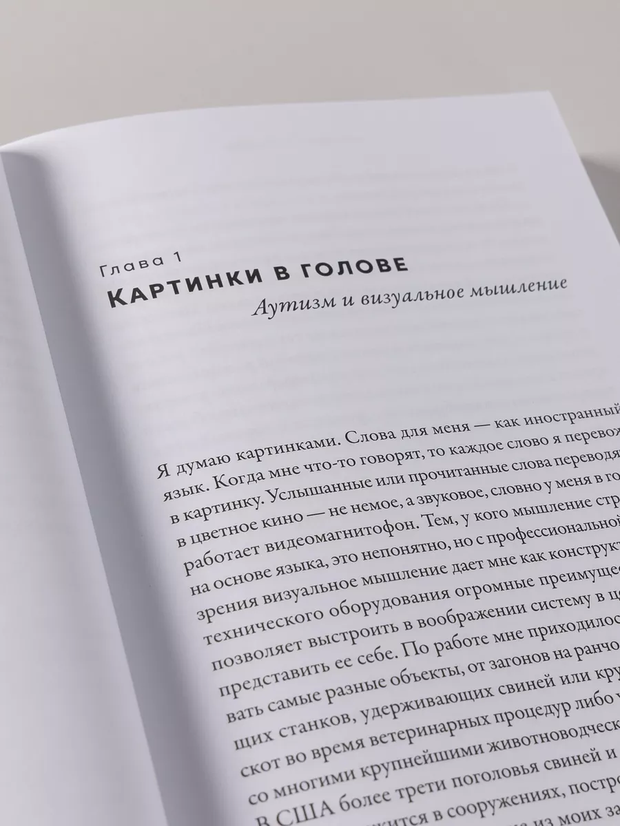 Картинки в голове: И другие рассказы о моей жизни с аутизмом Альпина. Книги  178168499 купить за 622 ₽ в интернет-магазине Wildberries