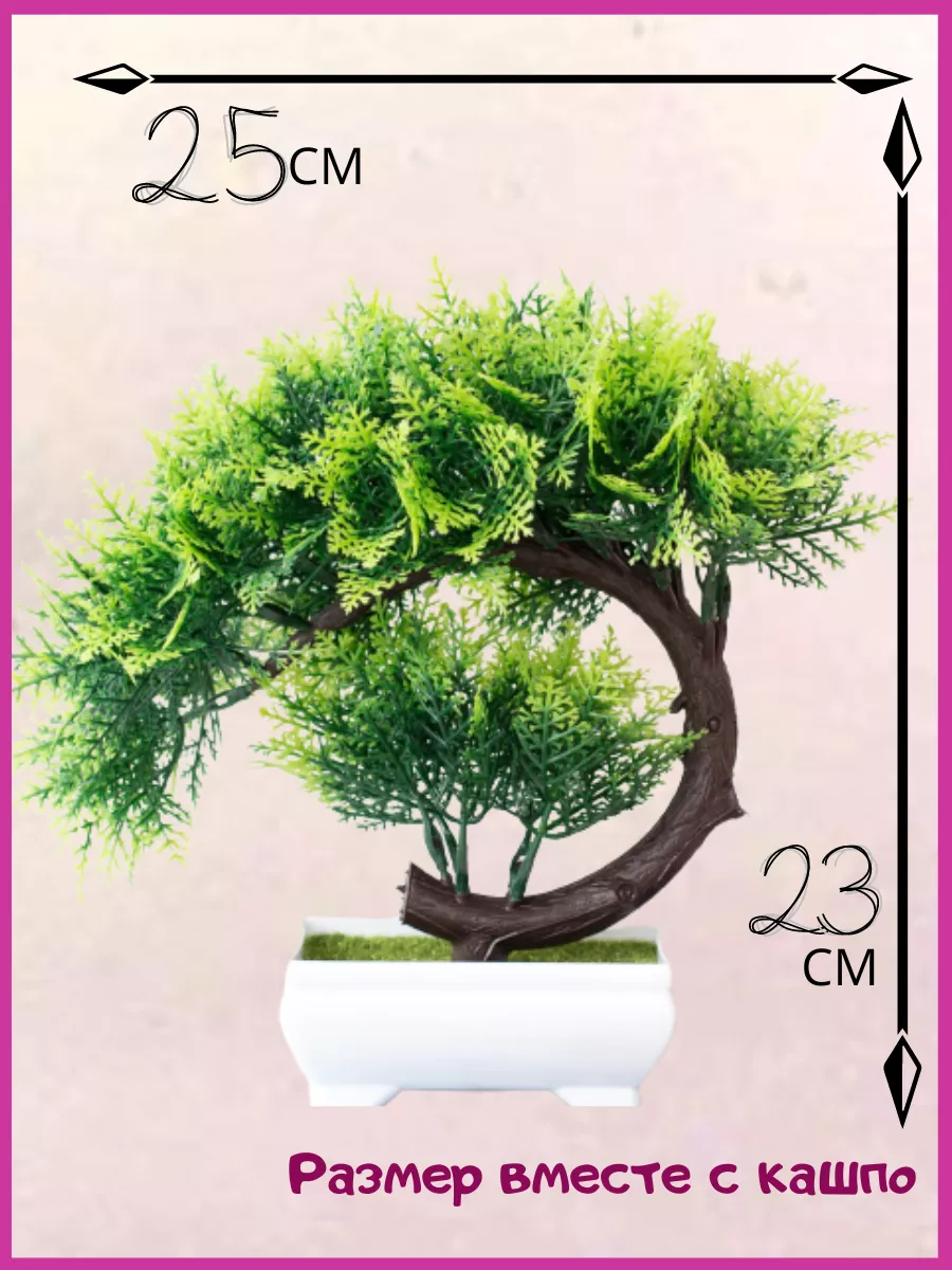 Основы бонсай для начинающих — выращиваем дерево на подоконнике!
