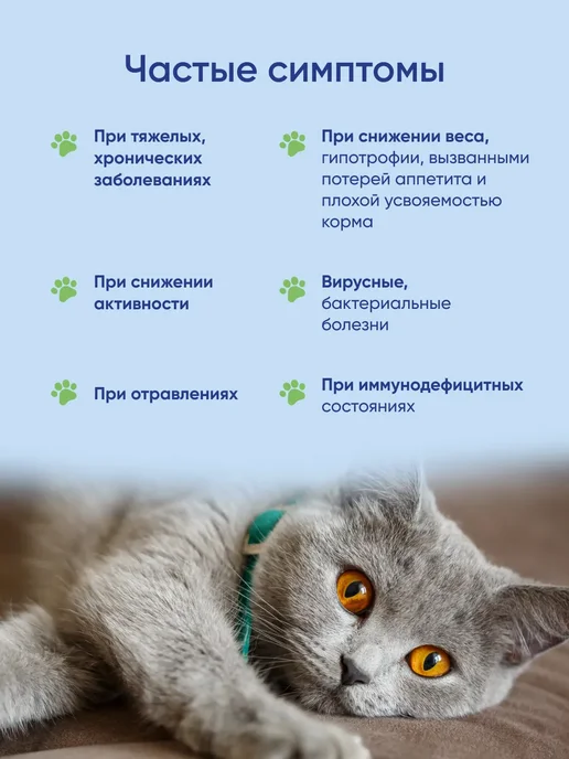 Суб-Про Форте Пробиотик для кошек и собак, кормовая добавка витамины 30гр, 30 г, фото 5