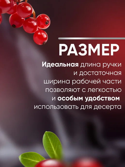 Todai Ложка десертная 15,5х2,7х1,5 см, 15.5x2.7x1.5 см, фото 2
