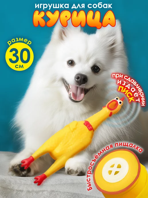 Игрушки для собак мелких и средних пород image