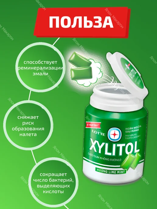 Lotte Жевательная резинка без сахара Xylitol Черника мята 55,1г, 55,1 г, фото 4