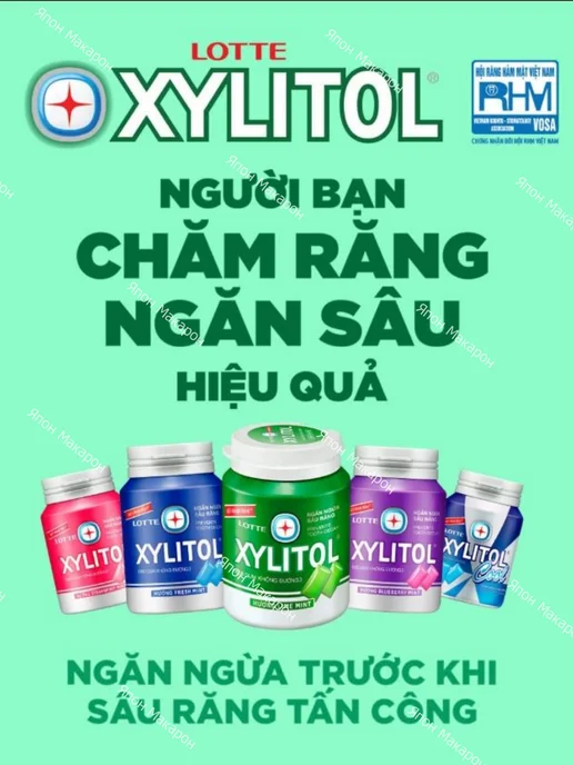Lotte Жевательная резинка без сахара Xylitol Черника мята 55,1г, 55,1 г, фото 5