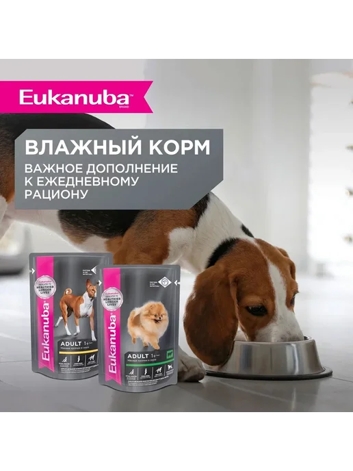 Сухой корм Eukanuba Птица для собак, мелкие, 3 кг, фото 8