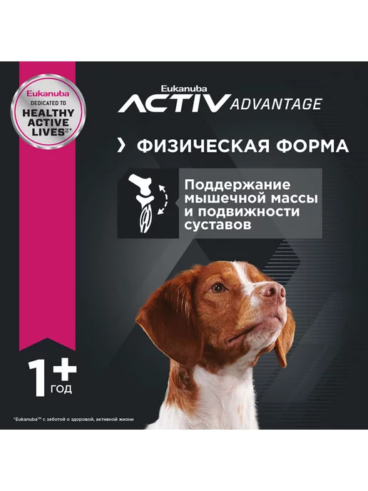 Сухой корм Eukanuba Птица для собак, средние, 3 кг, фото 4