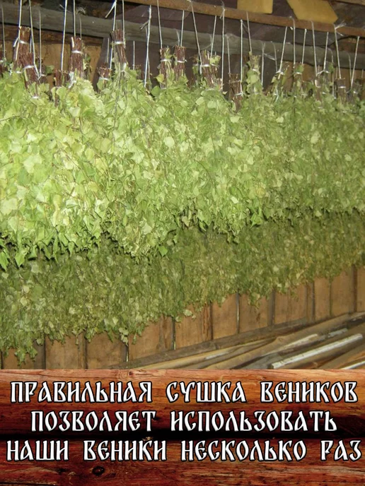 Дубовый Веник Веник березовый для бани с ручкой из джута 8 штук, 8 шт, фото 7