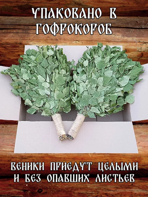 Банный веник дубовый Берёзовые веники для бани 3 штуки с ручкой из джута 2026, 8 шт, в упаковке 1 кг, фото 3