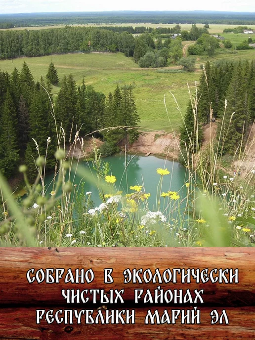 веник для бани Веник березовый для бани с ручкой из джута 2 штуки 2026, 3 штуки, фото 2