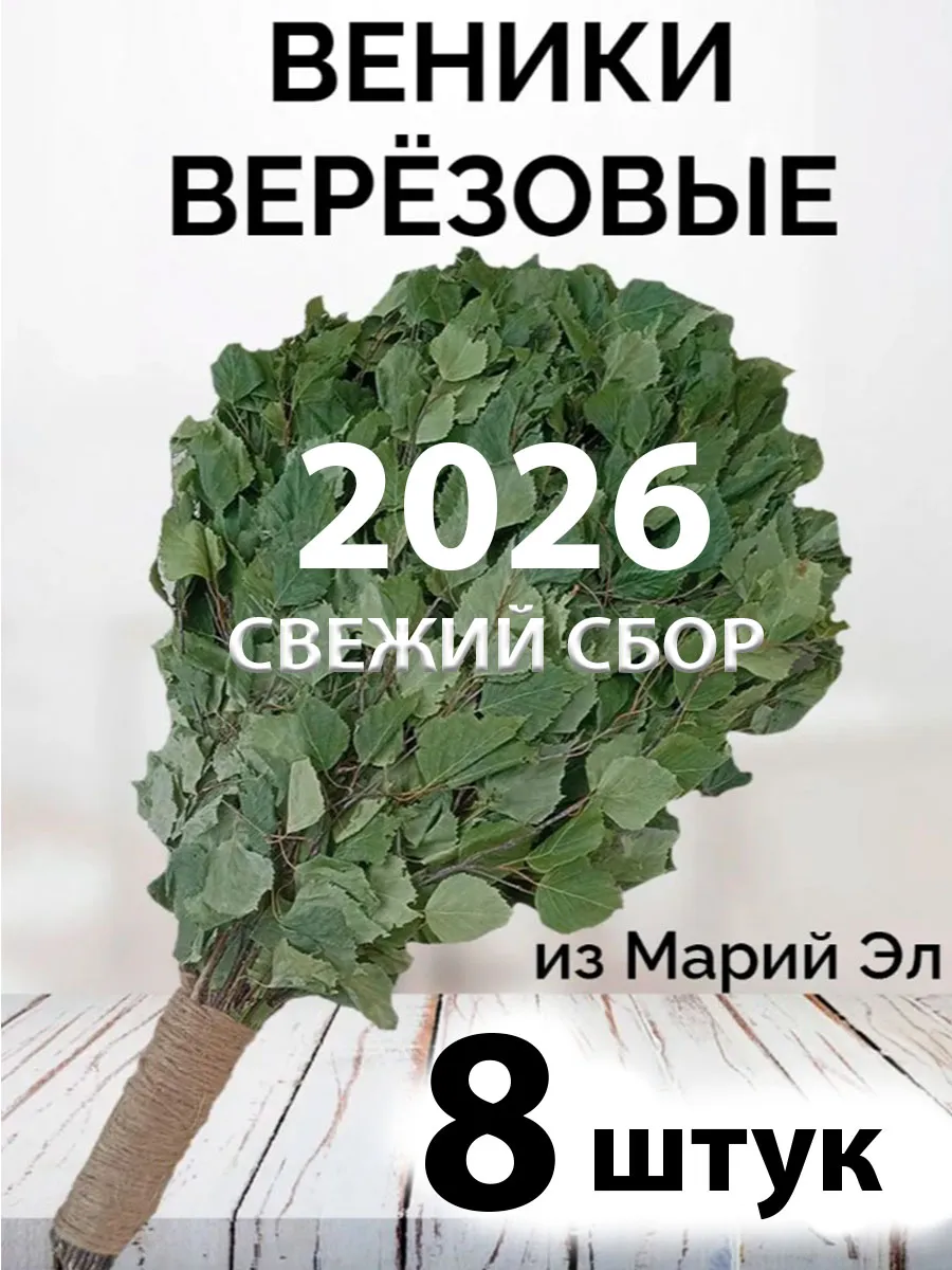 Веник березовый для бани с ручкой из джута 8 штук 2026