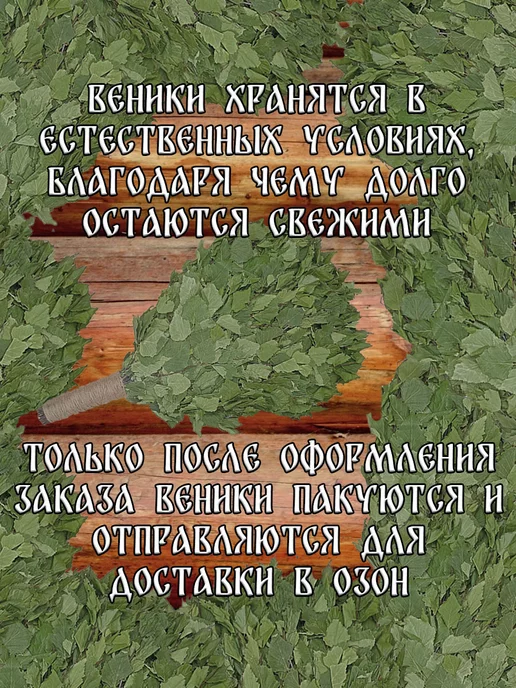 Банный веник дубовый Берёзовые веники для бани 3 штуки с ручкой из джута 2026, 8 шт, в упаковке 2 кг, фото 7