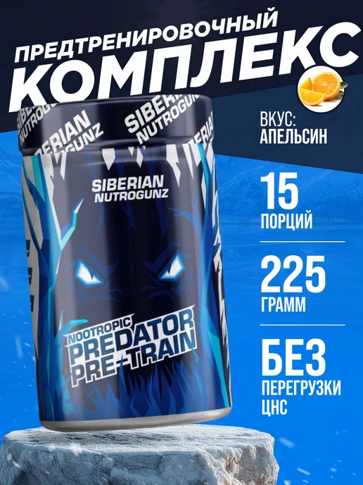 SIBERIAN NUTROGUNZ Предтренировочный комплекс Pre-train Nootropic 225 гр, 225 г