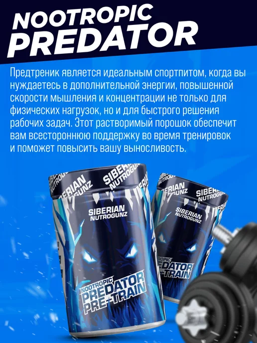 SIBERIAN NUTROGUNZ Предтренировочный комплекс Pre-train Nootropic 225 гр, 225 г, фото 4